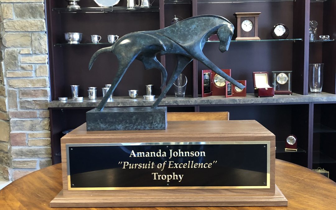 United States Dressage Federation Pursuit of Excellence Award